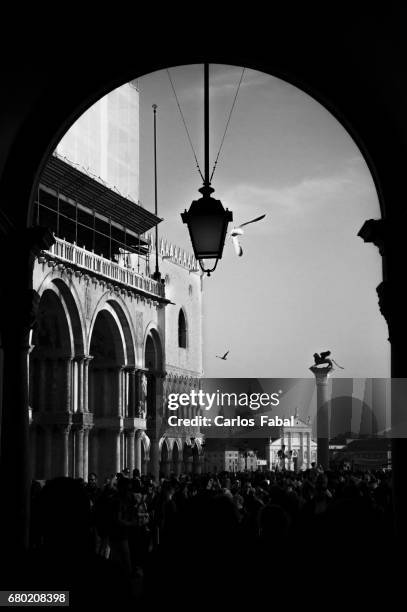 piazza san marco in venice - atividade romântica 個照片及圖片檔