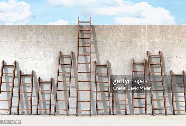 one of many ladders reaching the top of a wall - ハシゴ ストックフォトと画像