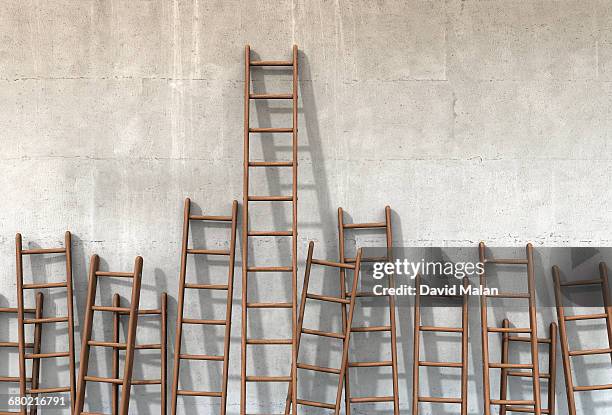 475 Shortest To Tallest Stock Photos, High-Res Pictures, and Images ...