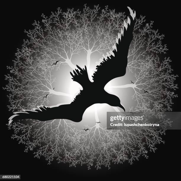 32 Ilustraciones de Black Bird Drawing - Getty Images 32 Ilustraciones de Black Bird Drawing - Getty Images