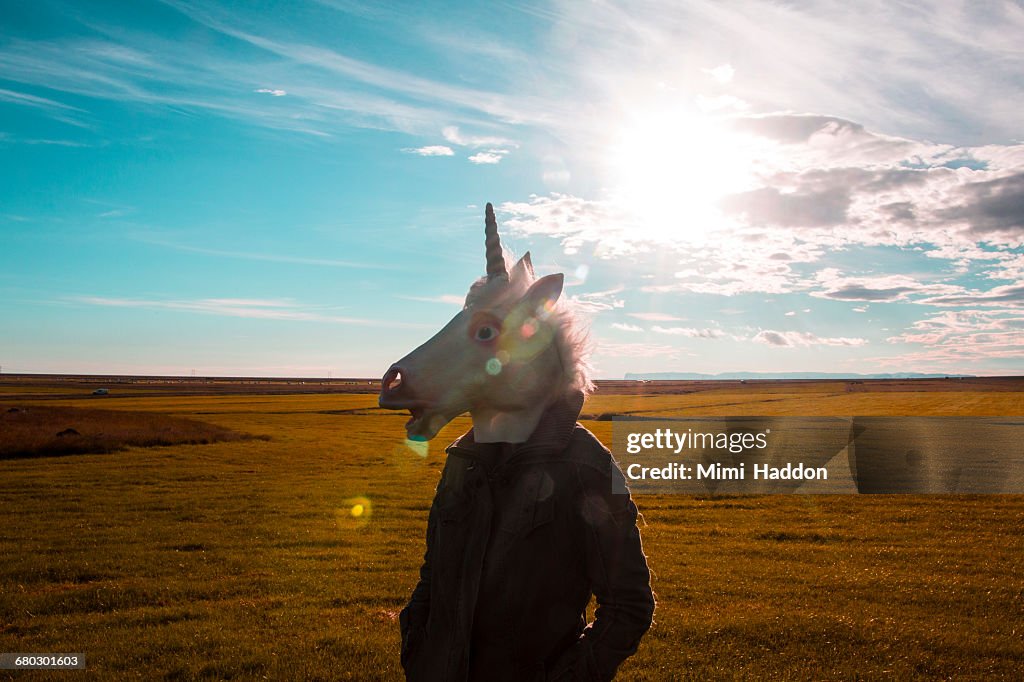 Unicorn Standing in Sunny Field