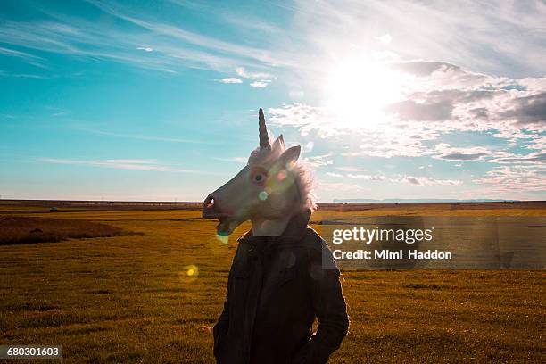 unicorn standing in sunny field - unicorn 個照片及圖片檔