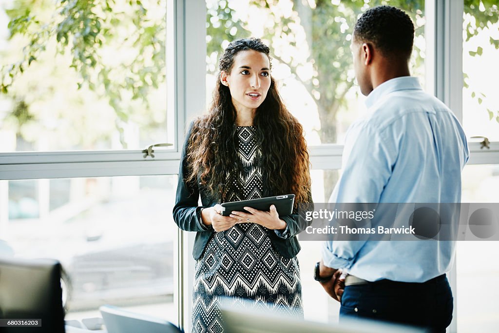 Businesswoman in discussion with client in office