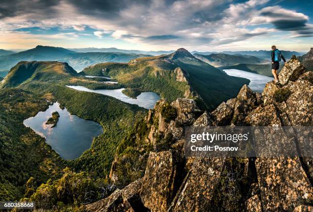 following down the lighting ridge from mt lot at mt. anne circuit.   southwest tasmania - tasmania stock pictures, royalty-free photos & images