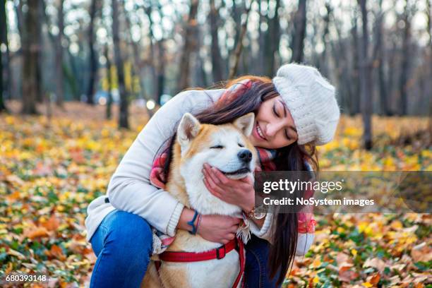 cute girl and her dog spending day together and having fun i the public park. - akita inu stock pictures, royalty-free photos & images