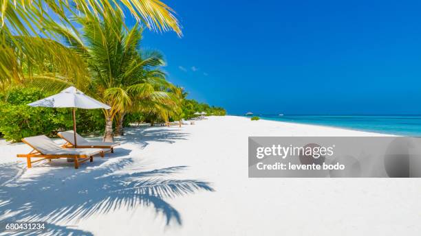 vacation holidays background wallpaper - two beach lounge chairs under tent on beach with palm trees - tropical pattern stock-fotos und bilder