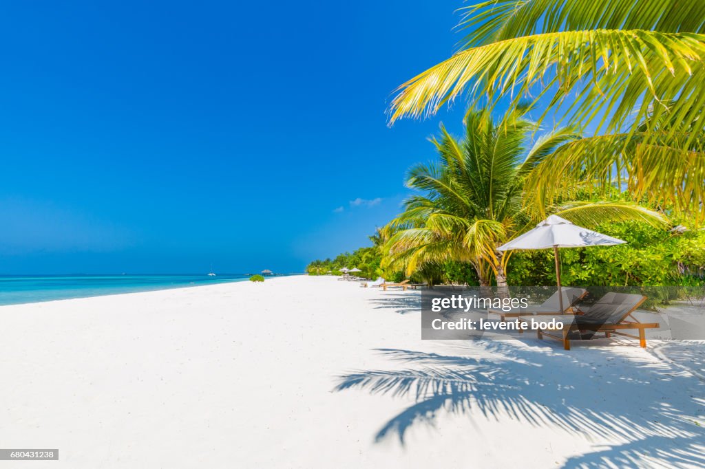 Vacation holidays background wallpaper - two beach lounge chairs under tent on beach with palm trees