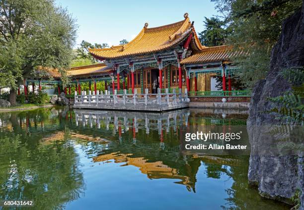 chinese garden in zurich - classical chinese garden fotografías e imágenes de stock