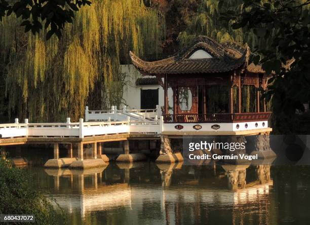 beautiful chinese bridge and pavilion in willow tree park - baohe, hefei, china - classical chinese garden fotografías e imágenes de stock