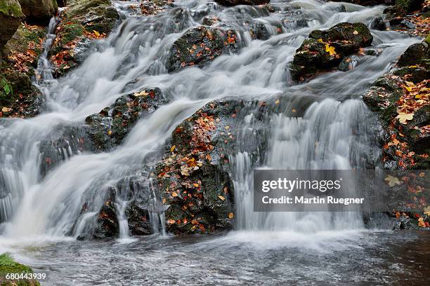 the river ilse. - ilsenburg stock pictures, royalty-free photos & images