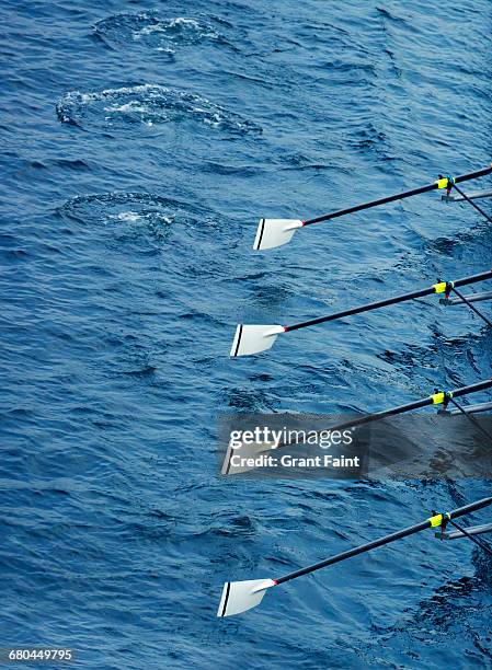 rowing oars. - oar stock pictures, royalty-free photos & images