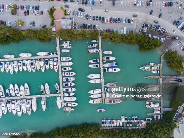 large marina with various yachts and boats,miami - florida marina stock pictures, royalty-free photos & images