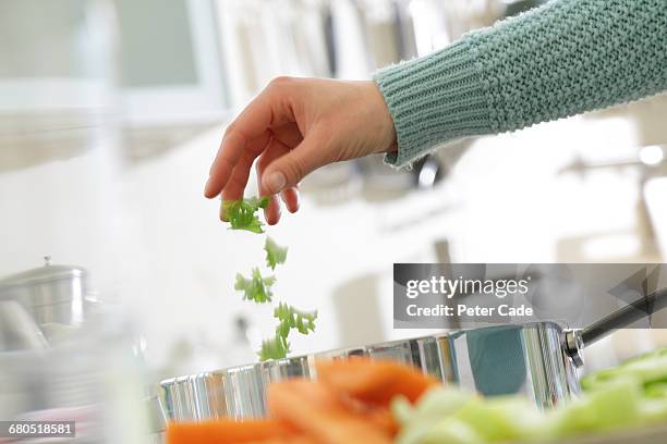 herbs being added to saucepan - espolvorear fotografías e imágenes de stock