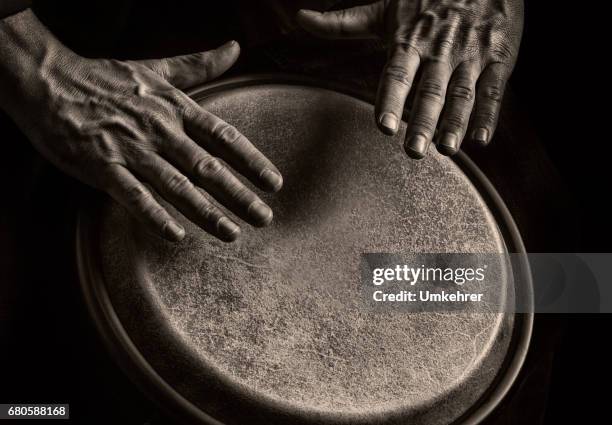 joueur de bongo dans ton sephia - instrument à percussion photos et images de collection