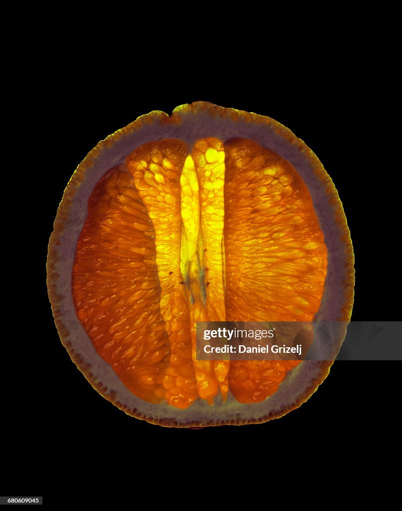 Orange cut into a thin slice