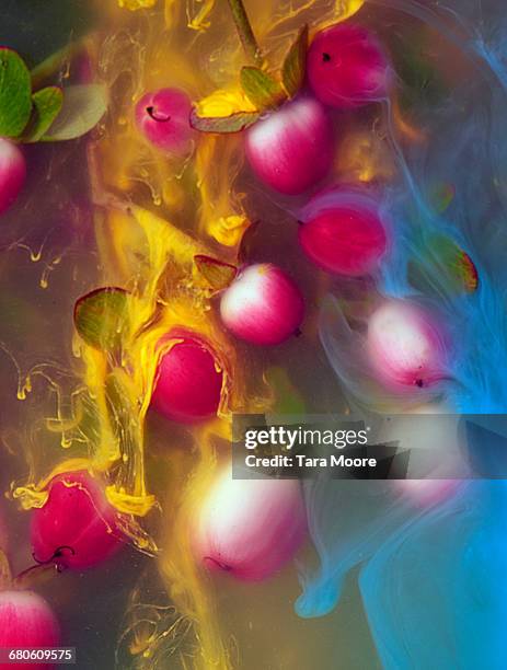 fruit and ink underwater - sensory perception stock pictures, royalty-free photos & images