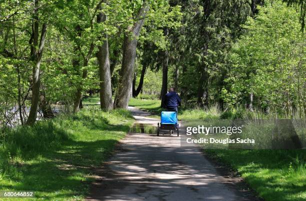 bicycle and infant trailer on the recreational trail, cuyahoga valley national park, brecksville, ohio, usa - baby sturzhelm stock-fotos und bilder