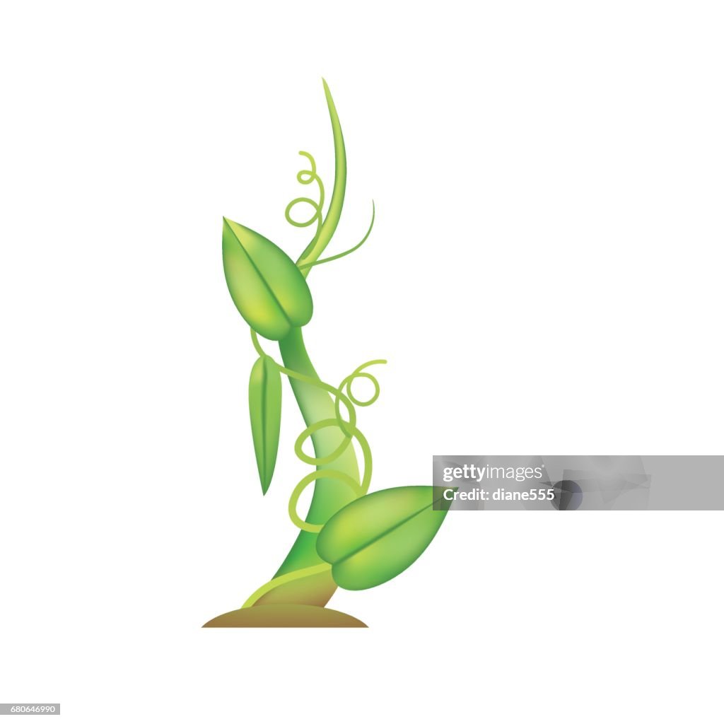 Simple Bean Plant Icon On White