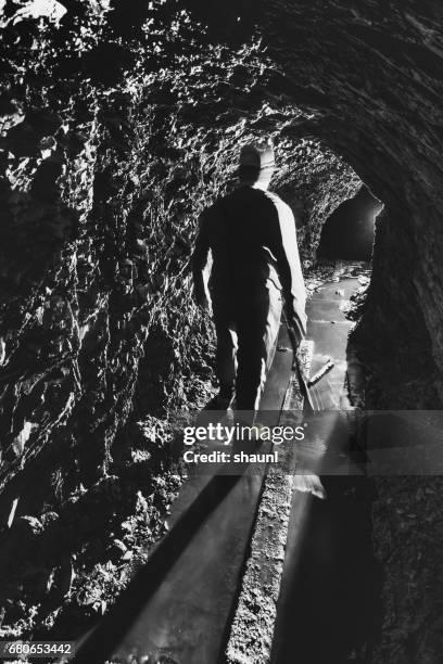 gold miner - mijnramp stockfoto's en -beelden