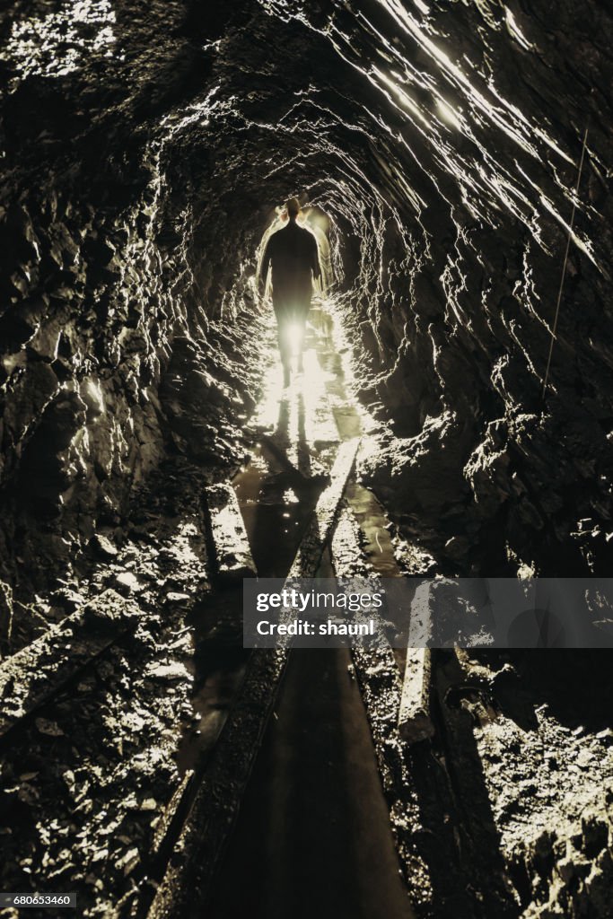 Gold Miner