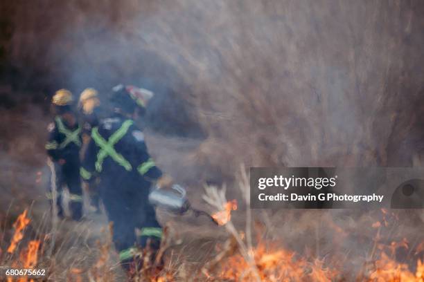 firefighters - alberta fotografías e imágenes de stock