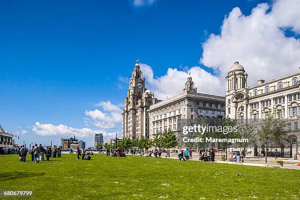 the three graces - royal liver building stock pictures, royalty-free photos & images