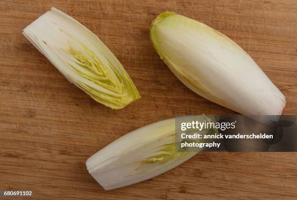 belgian endive. - witloof chicory stock pictures, royalty-free photos & images