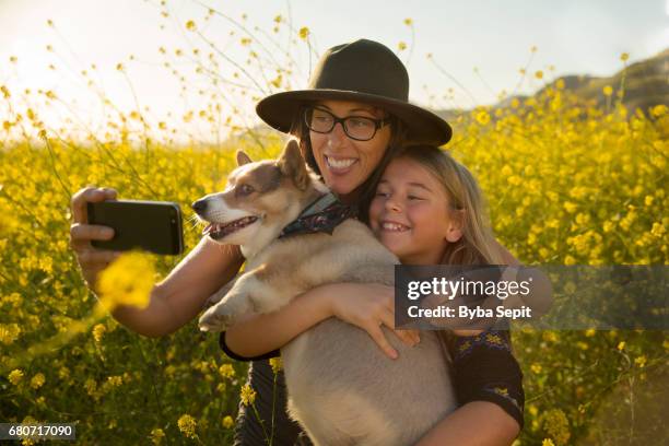 mother and daughter with their corgi taking a selfie - local girls - fotografias e filmes do acervo