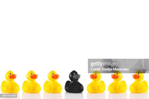 singled out. plastic yellow and black duck, standing out from the crowd - rubber ducks in a row stock pictures, royalty-free photos & images