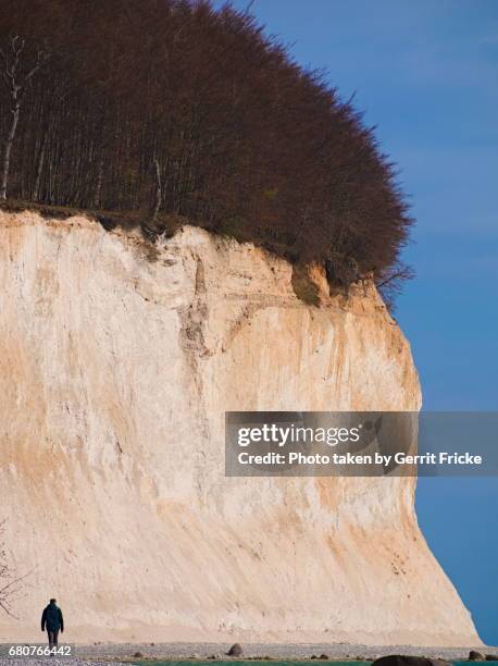 rügen island chalk cliffs jasmund national park (kreidefelsen) - rügen kreidefelsen ストックフォトと画像