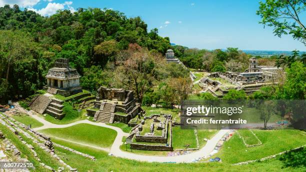 palenque chiapas mexico - mexican culture stock pictures, royalty-free photos & images