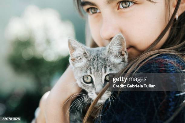 portrait of child with kitten - girls cuddling cat stock-fotos und bilder