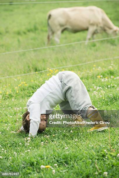 child playing in grass on farm - salto alto stockfoto's en -beelden