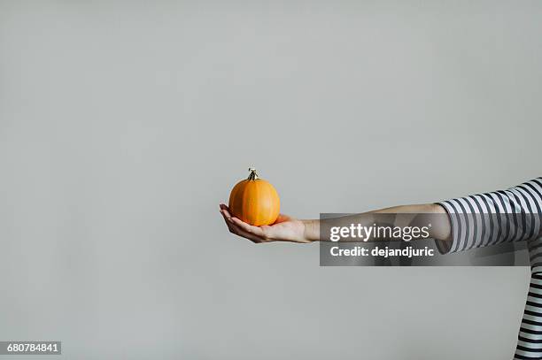 woman holding a miniature pumpkin in her hand - miniature pumpkin stock pictures, royalty-free photos & images