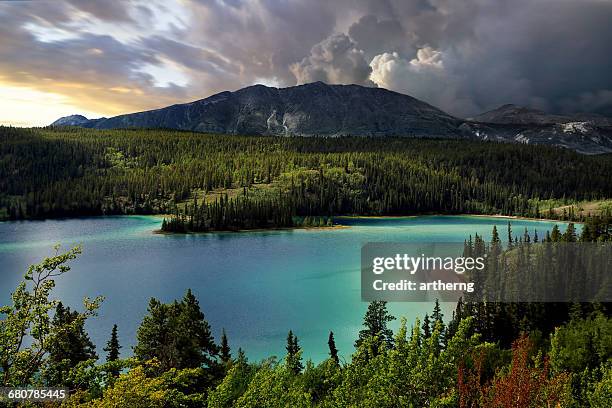 emerald lake, southern yukon, canada - yukon stock pictures, royalty-free photos & images