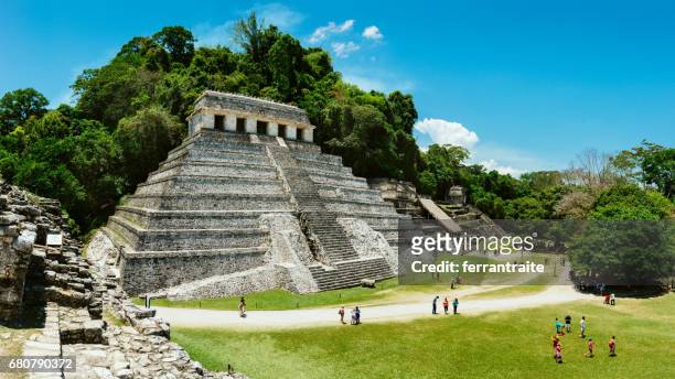 palenque chiapas mexico - chiapas stock pictures, royalty-free photos & images