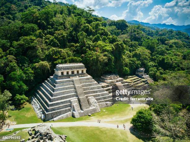palenque-chiapas-mexiko - mayan stock-fotos und bilder