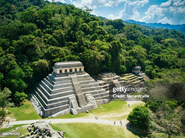 palenque chiapas méxico - ancient civilisation fotografías e imágenes de stock