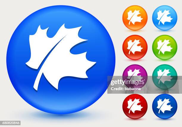 leaf icon on shiny color circle buttons - maple leaf stock illustrations