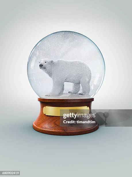 snow globe with polar bear in a snow storm - empty snow globe stockfoto's en -beelden