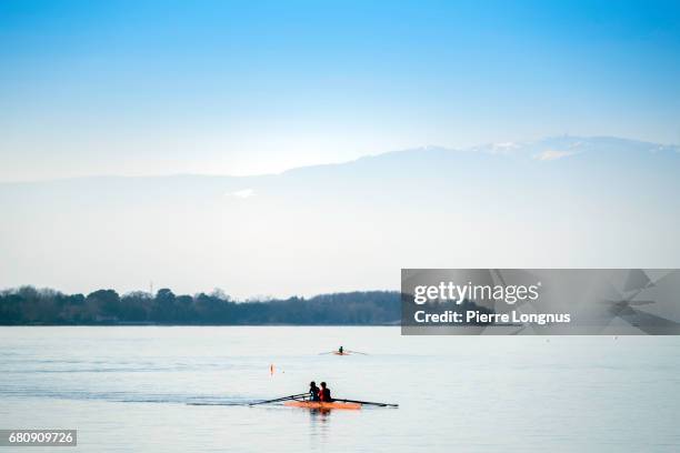 unrecognizable rowers on lake geneva - evian - france - evian les bains stockfoto's en -beelden