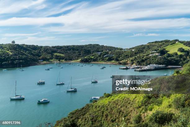 the dog on the beach,waiheke island - waiheke island stock pictures, royalty-free photos & images