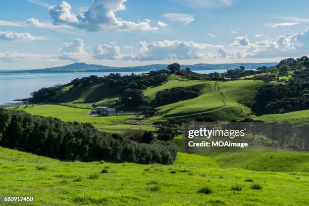 high landscape,waiheke island,auckland - waiheke island stock pictures, royalty-free photos & images