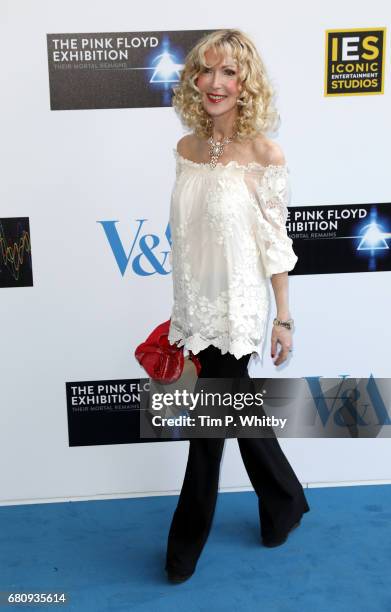 Basia Briggs attends the Pink Floyd Exhibition: Their Mortal Remains at the V&A on May 9, 2017 in London, England.