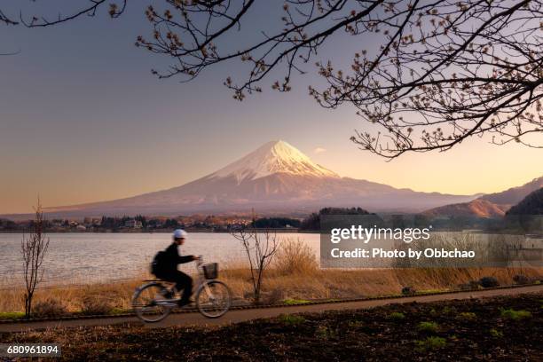 fuji bicycle - fiji flower stock pictures, royalty-free photos & images
