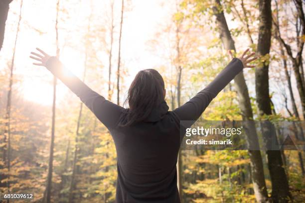 hands up in forest - practice gratitude stock pictures, royalty-free photos & images