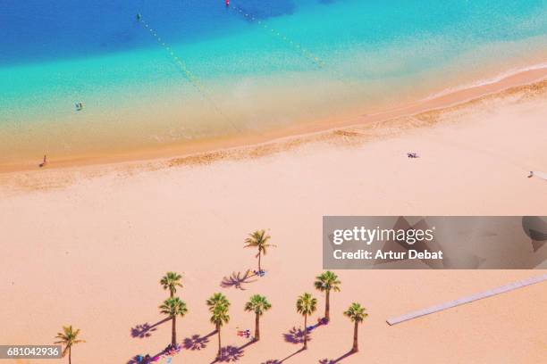 Beautiful Tenerife island beach taken from elevated viewpoint with nice composition, palm trees and colorful layers.