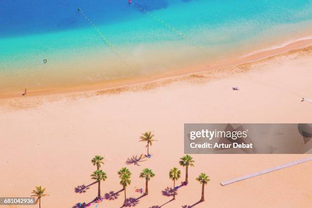 beautiful tenerife island beach taken from elevated viewpoint with nice composition, palm trees and colorful layers. - kanarieöarna bildbanksfoton och bilder