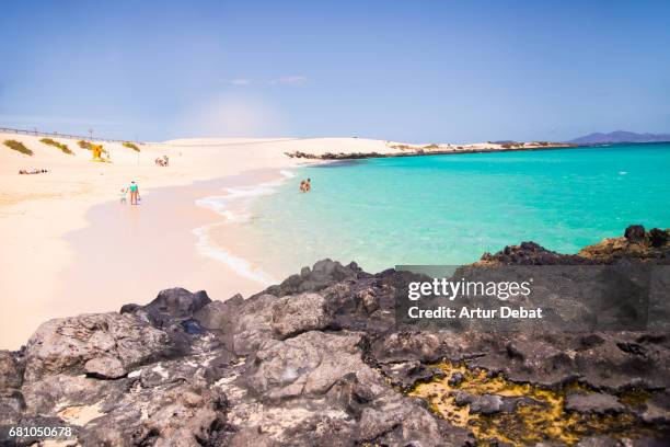 beautiful turquoise water beach in the fuerteventura island during travel vacations in the islands with warm and sunny days. - fuerteventura bildbanksfoton och bilder