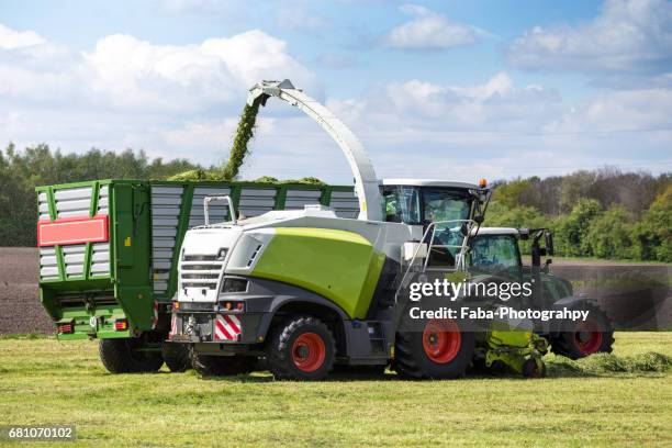 gras harvest - agrarbetrieb stock pictures, royalty-free photos & images